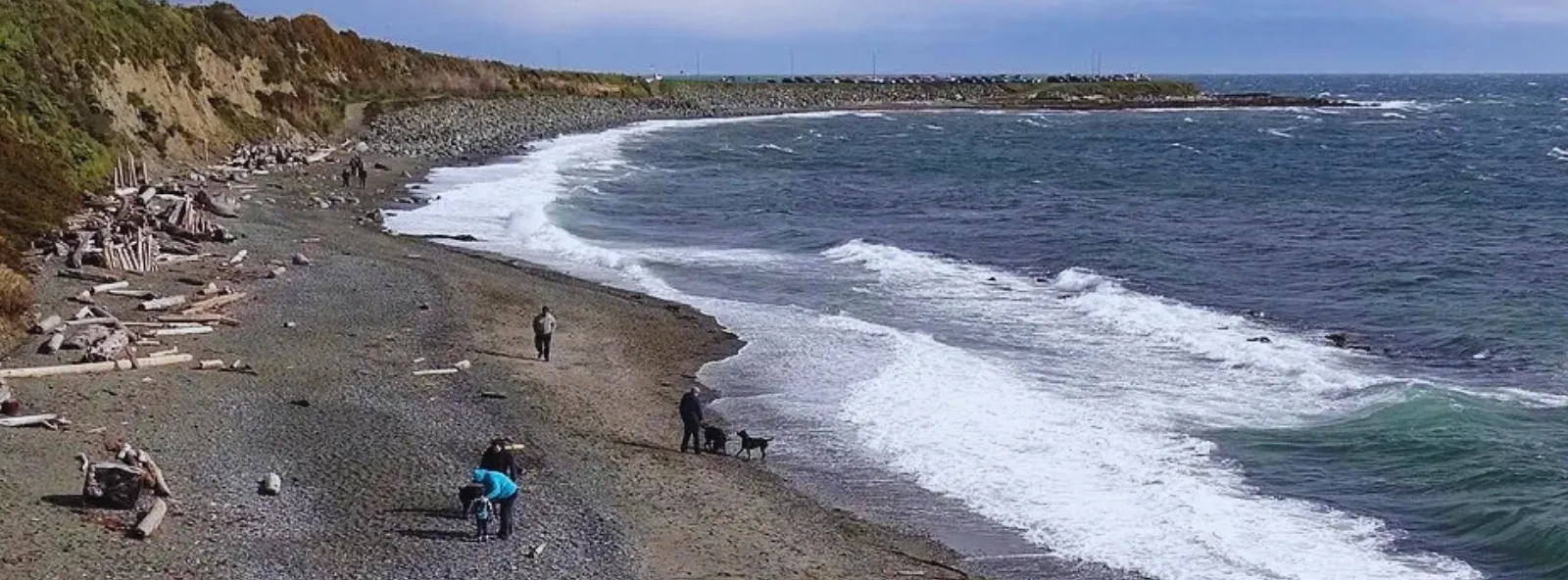 People and dogs walking along the pebble beach near Clover Point as waves roll in on a windy day